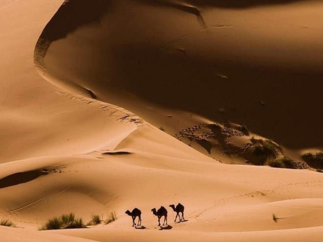 Hotel Amazing Luxury Camp Merzouga Exterior foto
